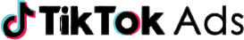 Tiktok Ads